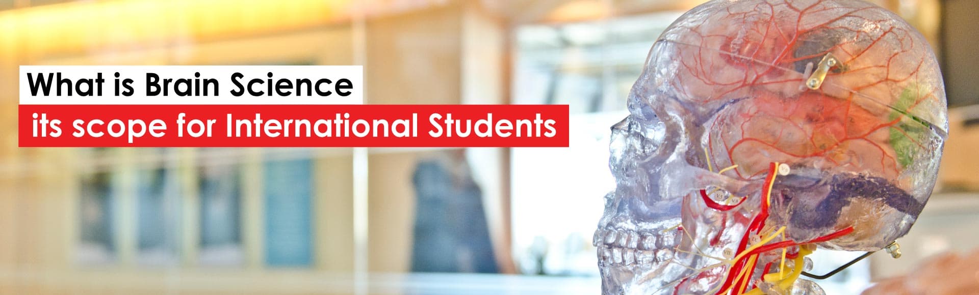 Role and Scope of Brain Science for International Students